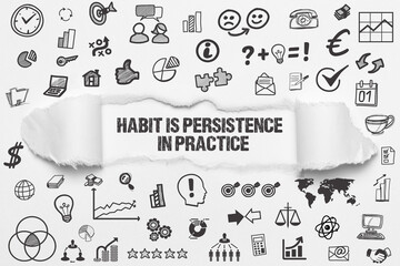 habit is persistence in practice	
