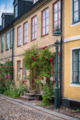 Fototapeta na wymiar Roses growin next to colorful facade in historic city center of Lund Sweden