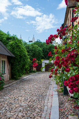 Roses growin next to colorful facade in historic city center of Lund Sweden