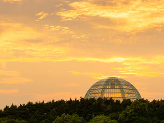 夏の夕景、葛西臨海公園の水族館