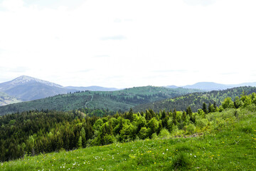 Fototapeta na wymiar Mountain landscape on sunny summer day