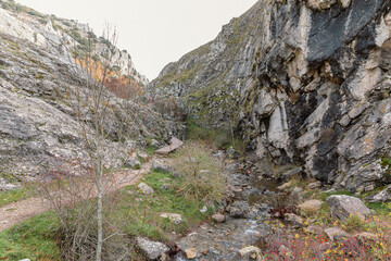 Golden autumn path through majestic mountains, nature's breathtaking masterpiece