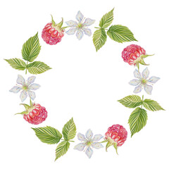 A wreath of raspberries. Berries, leaves, inflorescences. Watercolor illustration on an isolated background. Frame, postcard.