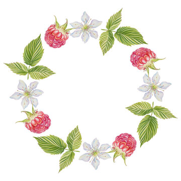A wreath of raspberries. Berries, leaves, inflorescences. Watercolor illustration on an isolated background. Frame, postcard.