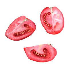 A set of red tomato slices. Watercolor illustration for the design of cards, menus, labels, package