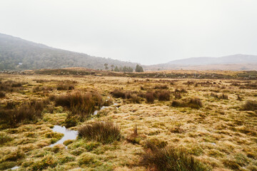 Tasmania's North West and Hike the Famous Lake Lilla Track in Ronny Creek