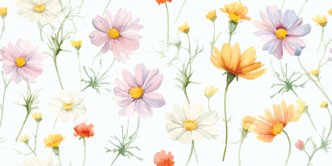 Floral pattern with buds flowers cosmos, coreopsis and marguerite. Watercolor delicate seamless print on white background