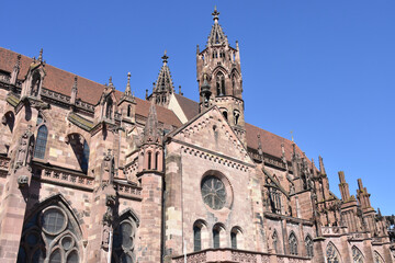 Eastern Face of Freiburg Minster in Morning Sun