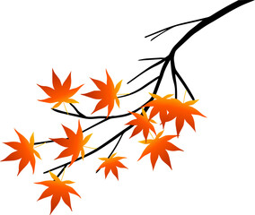 Maple Branches, Autumn