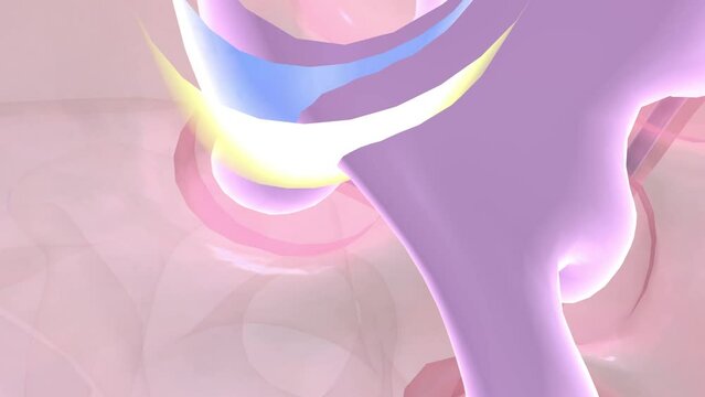 Movement Perception Saccule