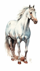 Naklejka na ściany i meble there is a white horse standing in the dirt on a white background. generative ai.