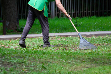 Raking of mowed grass on lawn in summer park. Clean in garden back yard. Volunteering, cleaning,...