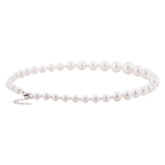 Pearl necklace, carved on a white background