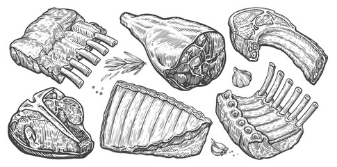 Steak, ribs, ham, bacon illustration. Cuts of raw farm meat set. Hand drawn sketch engraving style