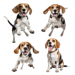 Set of beagle dog 3D illustration digital art design, generative AI