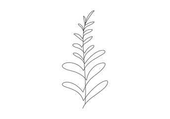Botanical one line art floral leaves plant hand drawn sketch branch isolated on white background. Vector illustration. Pro vector.