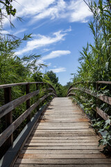 Fototapeta na wymiar Paisaje puente de madera rústico visto de frente lleno de vegetación y nubes en el cielo