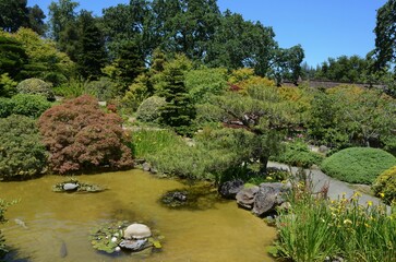 USA California May 2023 Hakone Estate and Gardens in Saratoga shore of a pond with diverse...