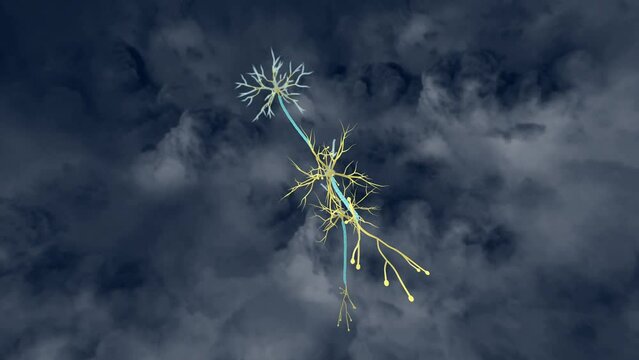 Epilepsy Seizure Activity in Neurons
