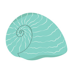 Sea shell. Marine conch, mollusc in seashell. Underwater triton mollusk. Ocean under water shellfish. Exotic beach decoration. Flat vector illustration isolated on white background