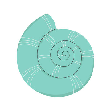 recommend clip art: Snail sea shell. Marine underwater twisted seashell of spiral shape. Undersea mollusc. Swirled mollusk, shellfish. Under water conch, clam. Flat vector illustration isolated on white background