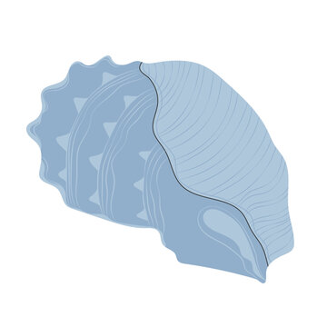 recommend clip art: Sea underwater shell with spikes. Seashell, undersea mollusc. Twisted spiral conch, shellfish. Ocean clam with thorns, spines. Marine mollusk. Flat vector illustration isolated on white background