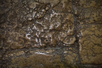 Close-up view of the Gabbatha or Lithostrotos, the Roman pavement of the trial of Jesus before his crucifixion, in the Old City of Jerusalem