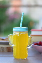 Straw hat, orange soda in the cactus shaped cup, bowl of fresh blueberreis and raspberries, plate of chocolate chip cookies, stack of books and sunglasses in the garden. Selective focus.
