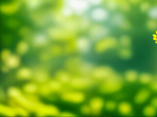 Obraz premium Green blurred background and sunlight