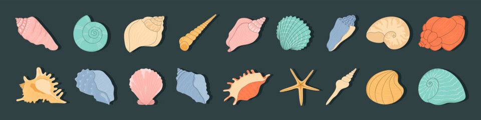Seashell. Isolated seashells, oyster and clam. Decoration beach sea ocean elements. Cartoon summer marine objects, seasonal decent. Vector stock illustration, all elements isolated.