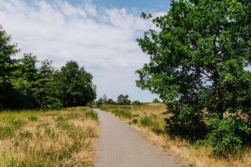 Fototapeta na wymiar Ahrensfelder Rad- und Wanderweg mit Feldern und Bäumen