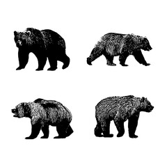Obraz na płótnie Canvas bear silhouettes set illustration vector