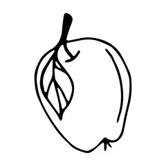 Apple with a leaf in a hand drawn style on an isolated white background.