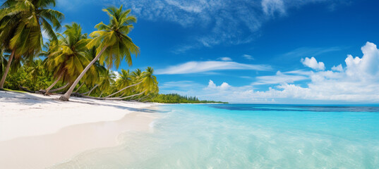Beautiful beach with white sand, turquoise ocean, blue sky with clouds and palm tree over the water