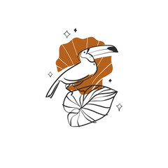 Hand drawn vector abstract simple minimalistic line art graphic drawing tropical toucan bird icon sign isolated.Summer sea toucan bird modern design concept.Summer exotic toucan bird nature line logo.