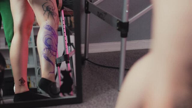 Closeup of female bare legs with an artistic dragon tattoo standing in front of a mirror in a studio. High quality 4k footage
