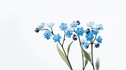 Obraz premium Forget me nots photo realistic illustration - Generative AI.