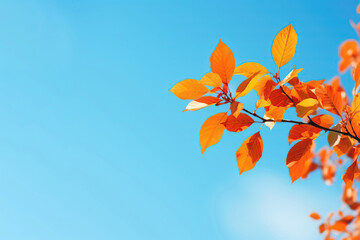 Fototapeta na wymiar Autumn Tree Leaves Against Clear Blue Sky Background. Copy Space For Text. Generative AI
