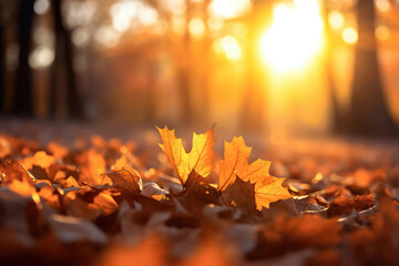 Naklejka na ściany i meble Closeup Of Falling Fall Leaves Under The Setting Suns Backlight. Generative AI