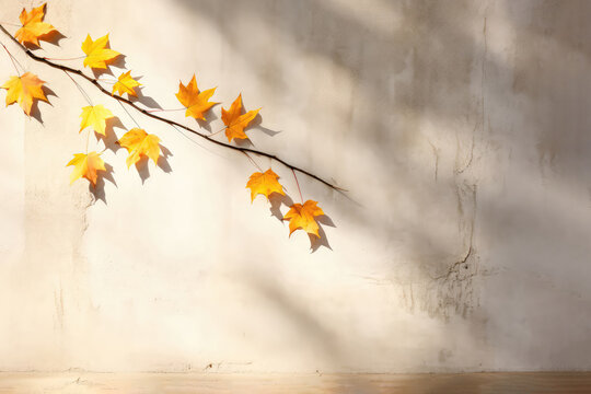 Abstract Autumn Scene With Shadow Of Maple Tree Leaves On Wall Copy Space For Text. Generative AI