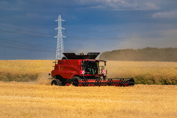 Harvester mowing wheat, a cereal ripe crop in France