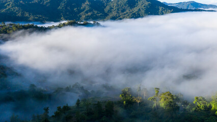 Panorama of Borneo jungle with morning fog © Yusnizam Yusof
