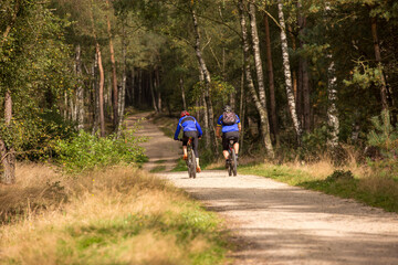 Two mountain bikers seen from the back with blue shirts cycling on a forest path