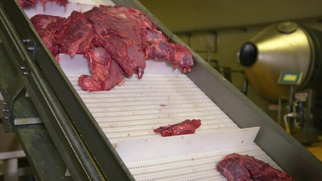 Modern workshop for processing and production of meat products. Meat factory, meat production.