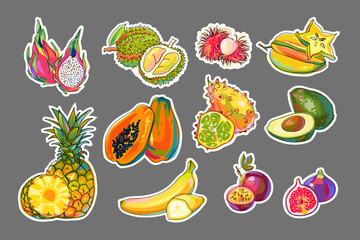 Fruits stickers. Pineapple, fig, papaya, banana, rambutan, kiwano, passion fruit, avocado, pitaya, durian, carambola. Set of stickers, patches, pins.  Colorful fruits in cartoon style. Vector.