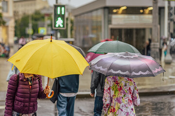 People with umbrellas in rain, back view, city street
