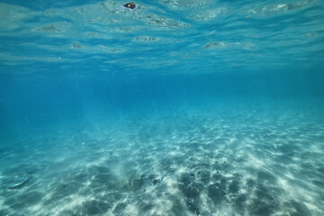Fototapeta na wymiar sandy beach underwater photo background abstract horizontal panorama of the blue sea