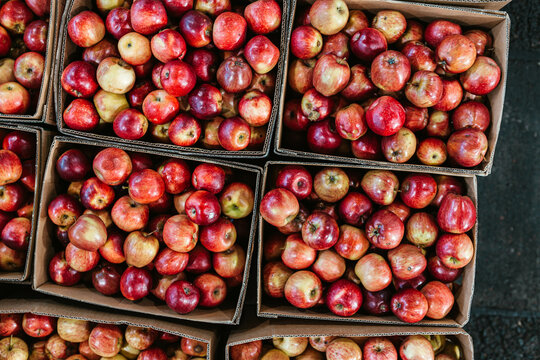 Gala apples for sale at Flemington Farmers Market in Sydney