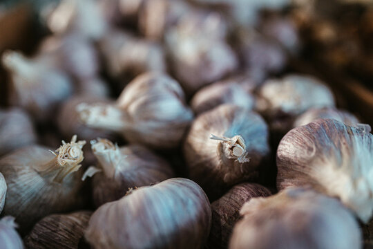 Close-up of garlic for sale at Flemington Farmers Market in Sydney