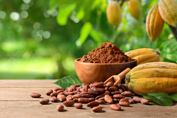 Cocoa beans with cocoa powder on wooden table with cocoa plant background.